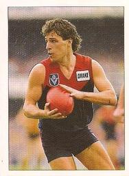 1990 Select AFL Stickers #160 Greg Healy Front